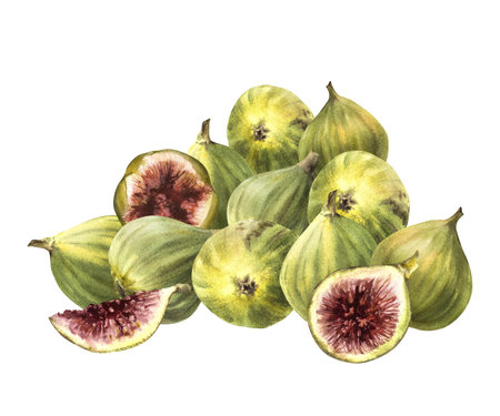 A pile of ripe, juicy green figs, picked overripe, whole and cut fruit. Food, plant clipart for...