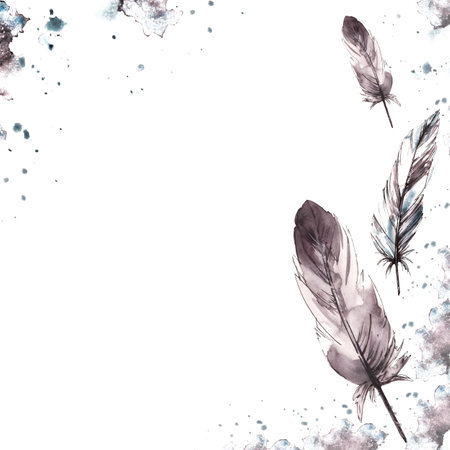 Watercolor painted monochrome frame. Bird grey feathers with graphic ink line on watercolor brush stroke splashes. Real wings card template illustration. Clipart for print. Isolated white backgroundの写真素材