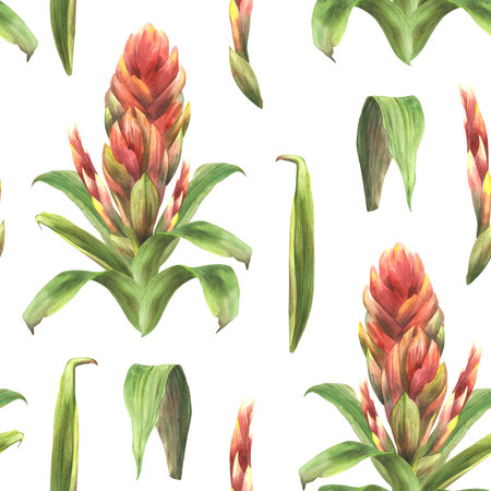 Tropical bromeliad flower seamless pattern, red buds and leaves. Exotic summer print, jungle floral Hawaiian clipart. Watercolor hand drawn illustration for wallpaper, fabric. On isolated background.の写真素材