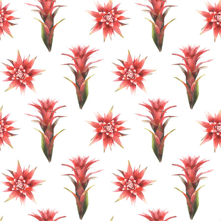 Tropical red flower seamless pattern, home plant buds and leaves. Watercolor exotic bromeliad, jungle tropical floral fabric. Hand drawn illustration for summer wallpaper. Isolated white background.の写真素材