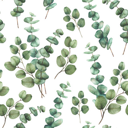 Eucalyptus plant bouquet seamless pattern. Watercolor Green silver dollar eucalypti tree branches with round leaves hand drawn botanical illustration for fabric, wallpaper isolated from backgroundの写真素材
