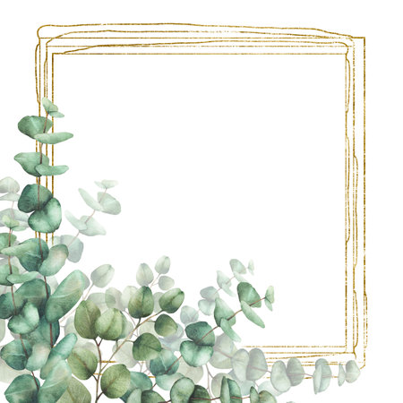 Eucalyptus leaves and branches with gold frame. Watercolor realistic hand drawn floral illustration. Square frame, template for wedding invitations, festive or greeting cards. Isolated from backgroundの写真素材