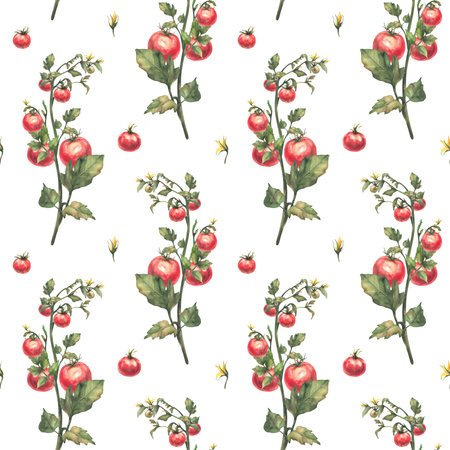 Tomato plant seamless pattern. Stem with red fruit, green leaves and yellow flowers. Watercolor agricultural vegetables harvest fabric. Realistic hand drawn illustration isolated on white backgroundの写真素材