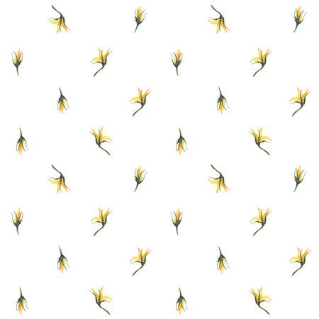 Watercolor yellow little flowers and buds of spring plant seamless pattern Watercolor summer floral fabric print. Realistic hand drawn illustration for textile, wallpaper. Isolated on white backgroundの写真素材