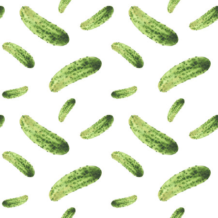 Watercolor cucumber seamless pattern. Green vegetable hand painted illustration of prickly gherkin pickles harvest for canned vegetarian food label, kitchen wallpaper on iIsolated white backgroundの写真素材