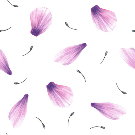 Watercolor purple petals with stamens from anemone flowers seamless pattern. Hand drawn Pink gender realistic windflowers part, delicate floral fabric, wallpaper. Isolated from background illustrationの写真素材
