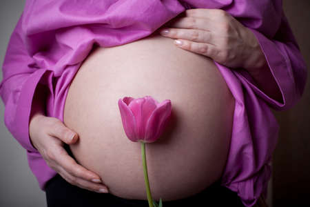 pregnancy and flower tulipの写真素材