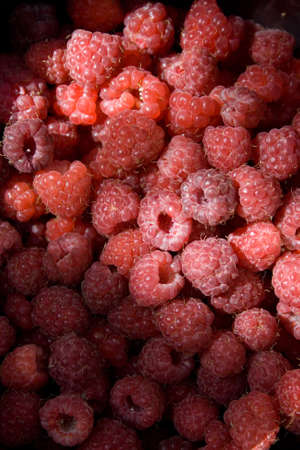 Raspberry fruit background