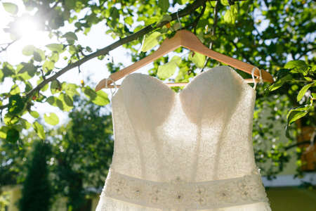 beautiful wedding dress hanging on a tree in a gardenの写真素材