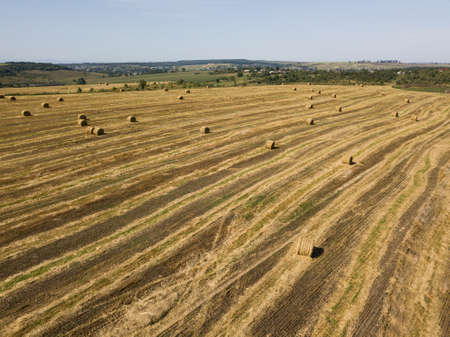 Aerial view to harvested field with straw bales in summer