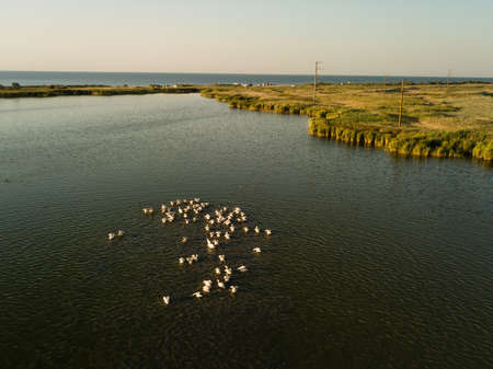 Aerial view of Tuzly Estuary National Nature with breeding grounds of pelicans on it, Tatarbunary region, Odessa oblast, Ukraineの写真素材