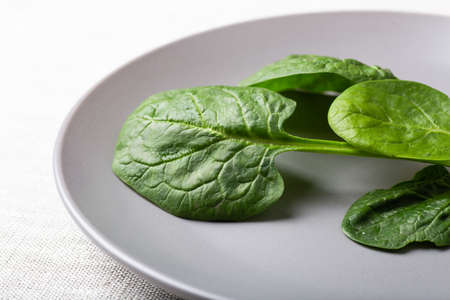 Fresh spinach leaves on a grey plate on a linen tableclothの写真素材
