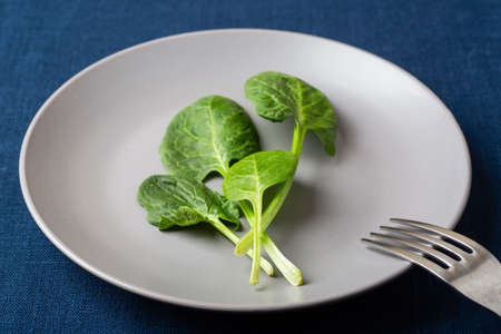 Fresh spinach leaves on a grey plate on blue linen tablecloth