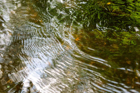 Abstract water texture of a shallow brook in the forest.