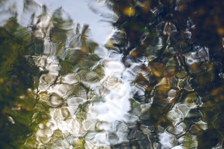 Abstract water texture of a shallow brook in the forest.の写真素材