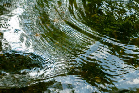 Abstract water texture of a shallow brook in the forest.