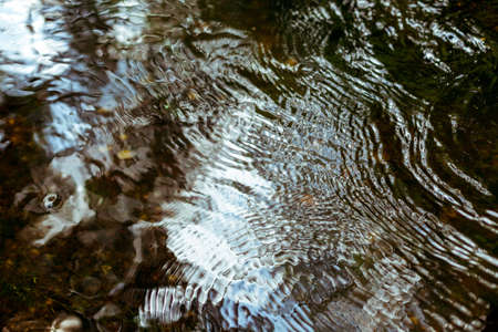 Abstract water texture of a shallow brook in the forest.の写真素材