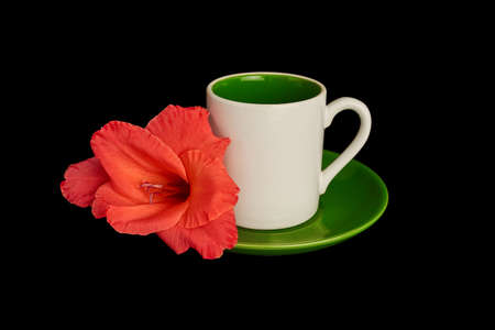 a small white cup with saucer and an intense gladioli flower lying on itの写真素材