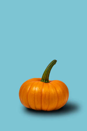 A juicy orange pumpkin on an empty, uniform, light blue background.の写真素材