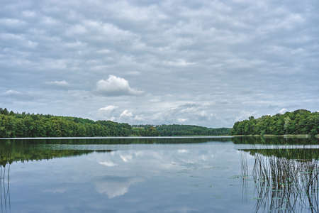 A peaceful lake in the middle of a deciduous forest in Kuyavian-Pomeranian voivodeship in Poland.