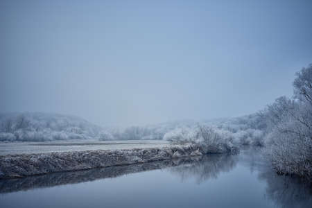 A calm river and a dense frosty forest during one January foggy afternoon