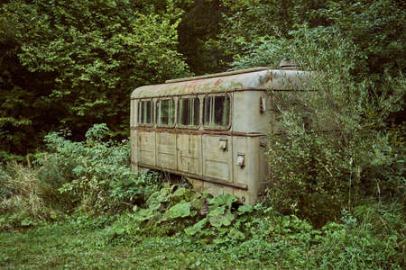 Abandoned overgrown dwelling barrack, resting place for logging in the forest