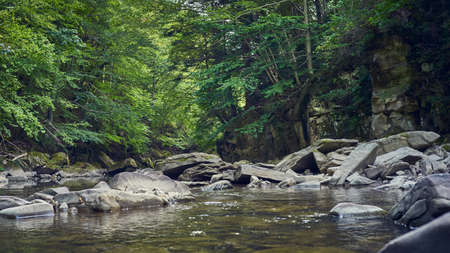 A shallow rocky mountain river flowing in a small ravine in the middle of the forestの写真素材