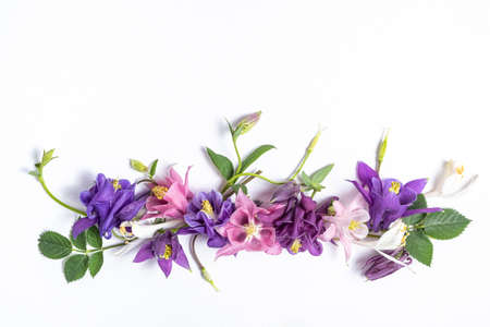 Beautiful aquilegia flowers on white background, flat layの写真素材