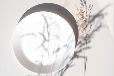 White plate and floral shadow pattern. Minimalism, floral background. Top view, copy space.の写真素材
