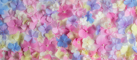 Bright natural floral background in pink and blue pastel colors. texture of hydrangea flowers in...