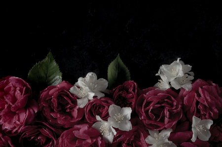 Dark Red Roses on Black Background. Top view, copy spaceの写真素材