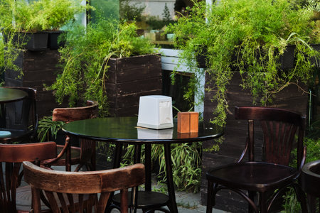 Weathered Wooden Chairs in Cozy Garden Setting. Vintage styleの写真素材