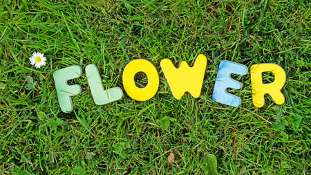 Flower written with colored letters in a green areaの写真素材