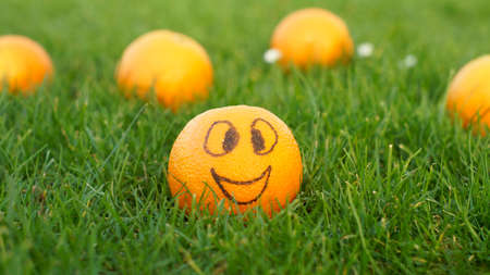 A smiling orange in the park