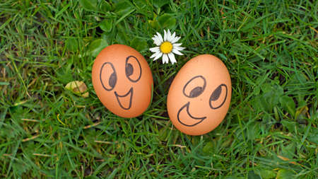 Happy eggs in a parkの写真素材