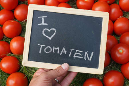I love tomatoes written in Dutch on a chalkboard holding in a handの写真素材
