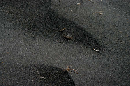 Black sandの写真素材