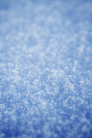 Detail of fresh snowの写真素材