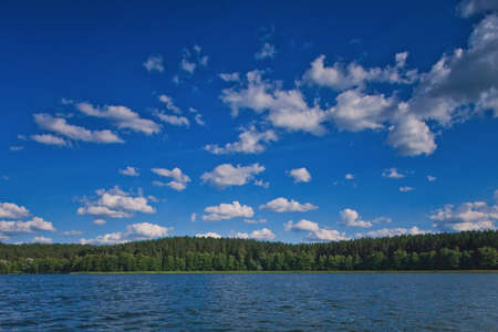 Forrest on the horizon on a summer day.の写真素材