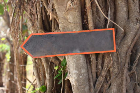 Blank path sign hanging on a tree pointing left.の写真素材