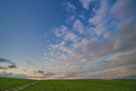 Rural scene with grassy field and dirt road leading into the horizon.