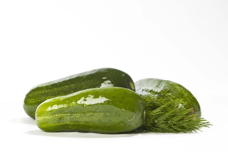 Whole pickles on white background.の写真素材