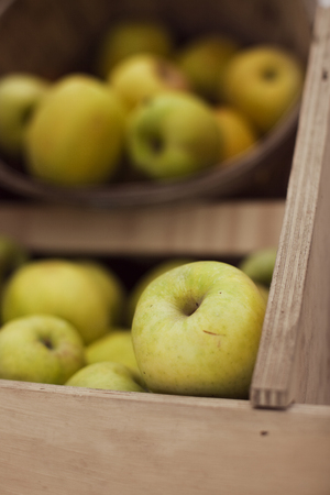 Green Apples in Crateの写真素材