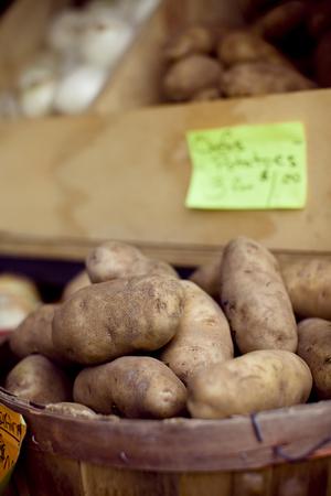 Heap of potatoes at local Farmer's Market. Shallow DOF.の写真素材