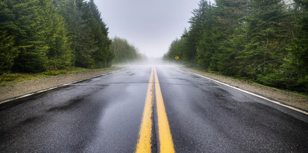 Two lane road in the fog.