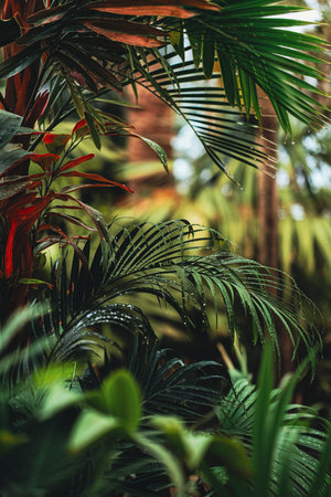 Tropical Foliage background with copy space, with water dew drops on the leaves.の素材