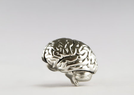 metallic model of human brain on white background with copy spaceの素材