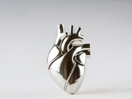 miniature metallic model representing the human heart on white background with copy spaceの素材