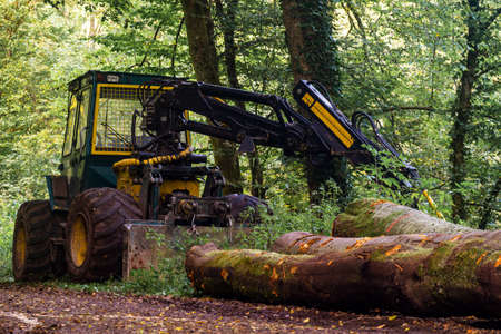 A wood harvester on a forest path