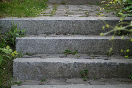 A concrete staircase in a parkの写真素材